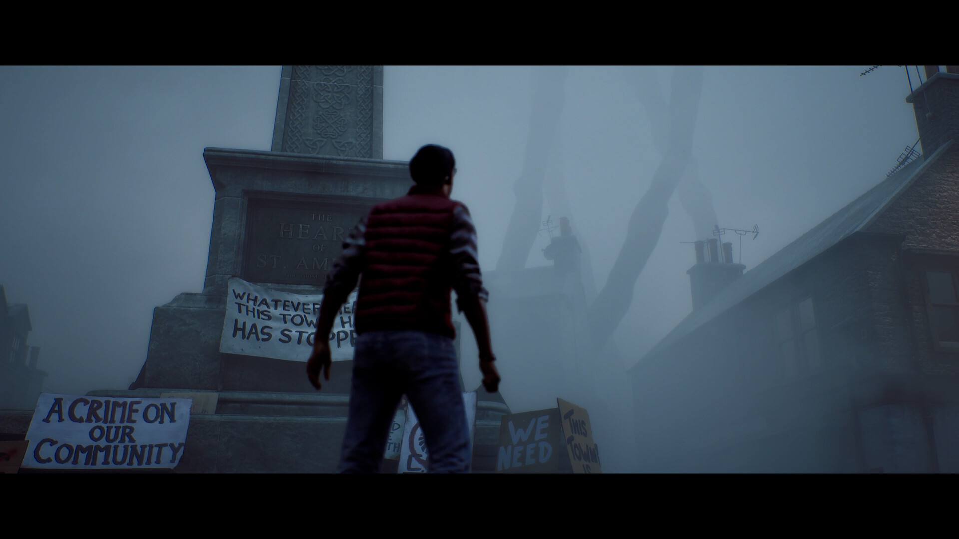 Simon facing the town monument covered in protest placards in St. Amelia